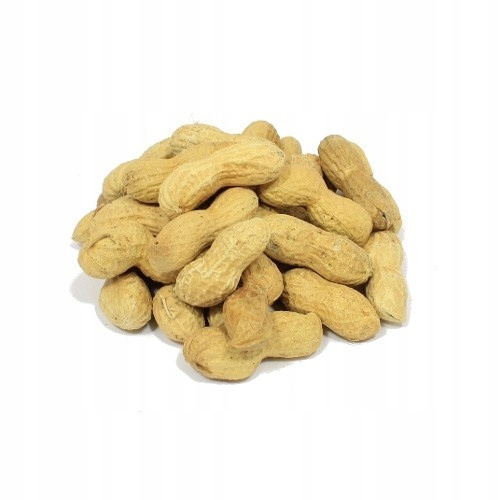 Orzechy ziemne suszone fistaszki Targroch 500 g.