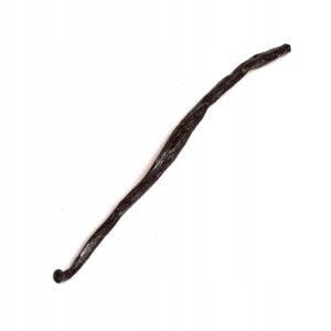 Wanilia laska Seed 9 g