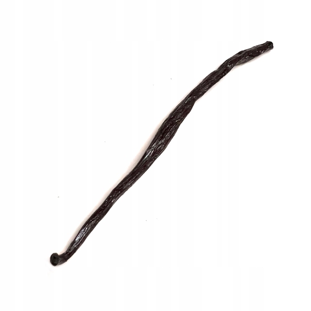 Wanilia laska Seed 9 g